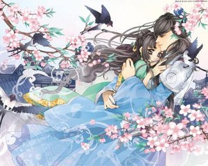含羞草研究院app